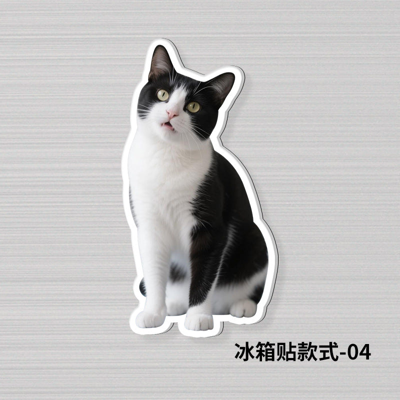 Wholesale Acrylic Pet Refrigerator Stand